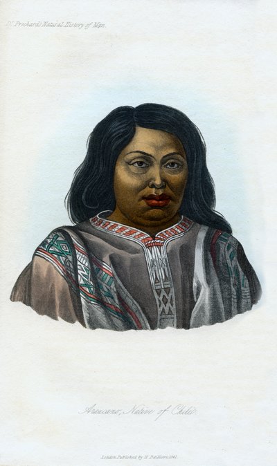 Araucano, Nativo de Chile, 1848 de Unbekannt
