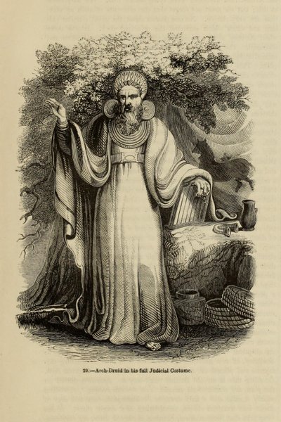Archidruida en su traje judicial completo Del libro Old England: A Pictorial Museum, 1845 de Unbekannt