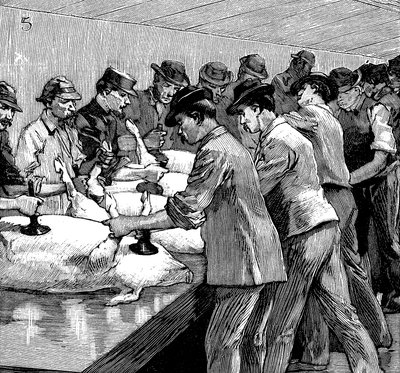 Matadero de cerdos de Armour Company, Chicago, Illinois, EE.UU., 1892 de Unbekannt