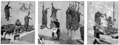 Matadero de cerdos de la compañía Armour, Chicago, Illinois, EE.UU., 1892 de Unbekannt