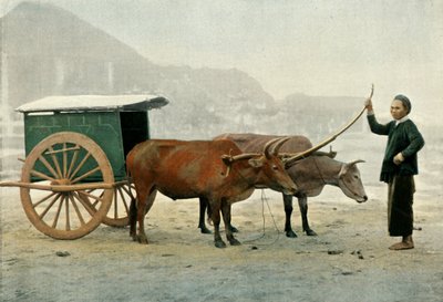 Yugo Annamita, 1900 de Unbekannt