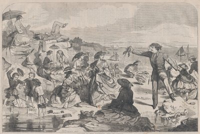 Agosto en el Campo - La Orilla del Mar Harper