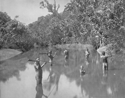 Aborígenes australianos pescando con lanzas, siglo XIX de Unbekannt