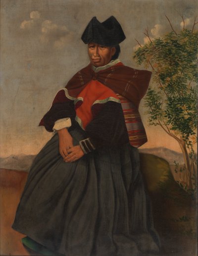 Mujer Aymara, ca. 1890-1892 de Unbekannt