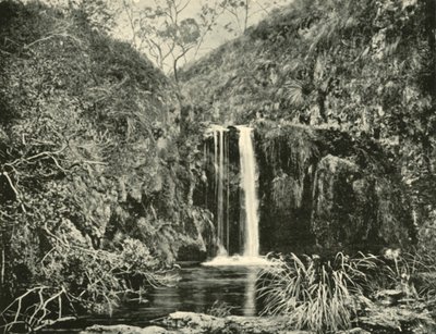 Cascadas de Back Creek, río Buchan, Victoria, 1901 de Unbekannt