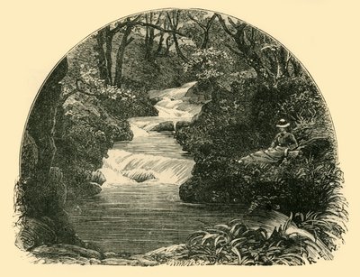 Tobogán de Bagworthy, 1898 de Unbekannt