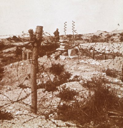 Alambre de púas, Craonne, norte de Francia, c. 1914-c. 1918 de Unbekannt