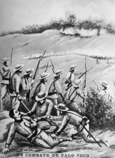 Batalla de Palo Seco de Unbekannt