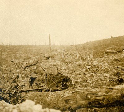 Campo de batalla, Bezonvaux, Verdún, norte de Francia de Unbekannt