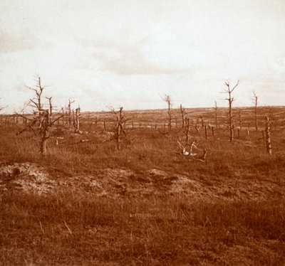 Campo de batalla, Tahure, norte de Francia, c. 1914-c. 1918 de Unbekannt
