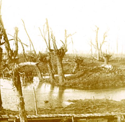 Campo de batalla, c1914-c1918 de Unbekannt
