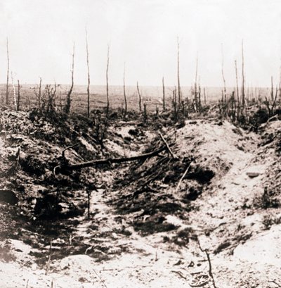 Campo de batalla, c. 1914-c. 1918 de Unbekannt