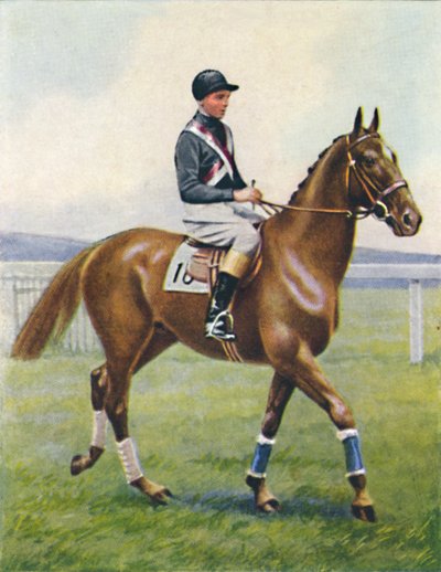 Acorazado, Jinete: B. Hobbs, 1939 de Unbekannt
