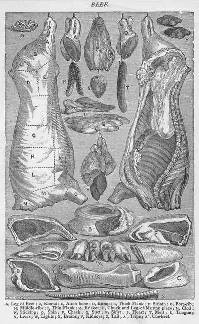 Carne de res, 1907 de Unbekannt