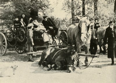Refugiados belgas en el camino, 1939-1940, 1941 de Unbekannt