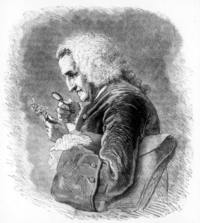 Bernard de Jussieu, botánico francés del siglo XVIII, 1880 de Unbekannt