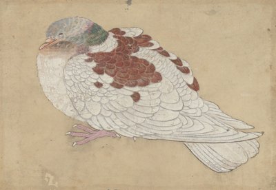 Pájaro, siglo XVIII de Unbekannt