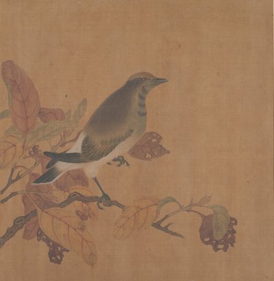 Pájaro en rama de Unbekannt
