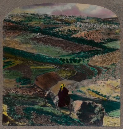 Vista aérea de Belén, con viñedos y olivares, c1900 de Unbekannt