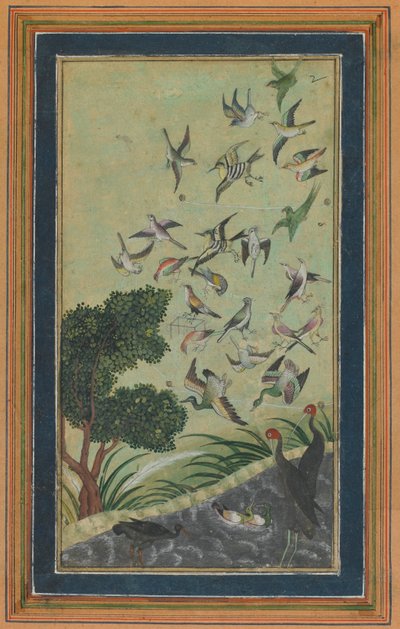 Aves en Baran, posiblemente del Babur-nama, finales del siglo XVI de Unbekannt