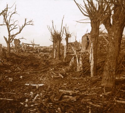Paisaje devastado, Belloy-en-Santerre, norte de Francia, c. 1914-c. 1918 de Unbekannt