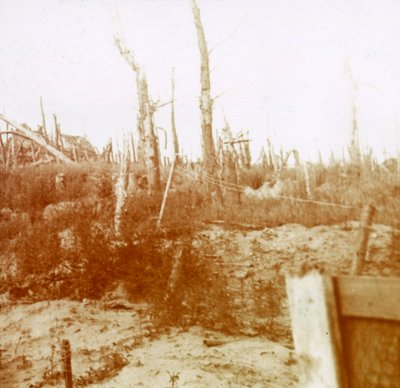 Madera destrozada, Nieuwpoort, Flandes, Bélgica, c1914-c1918 de Unbekannt