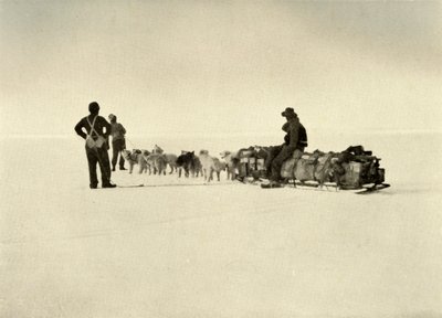 Fiesta del depósito de Bluff en la barrera, c1908, 1909 de Unbekannt