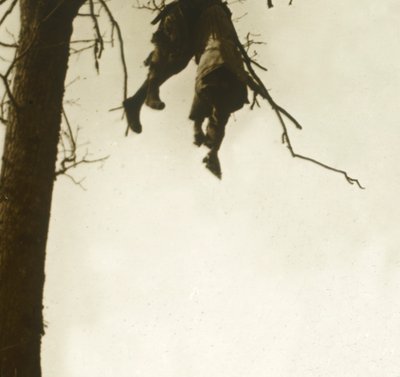 Cuerpo en árbol, Bois d