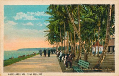 Parque Borinquen, cerca de San Juan, 1909 de Unbekannt