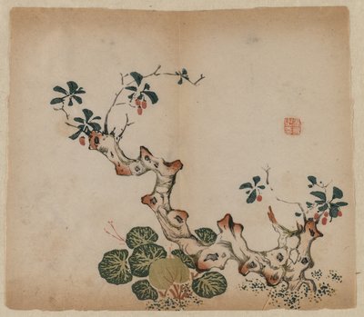 Tocón ramificado, 1368-1644 de Unbekannt
