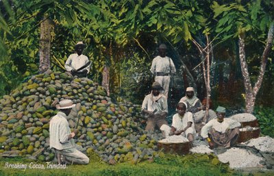 Rompiendo cacao, Trinidad, principios del siglo XX de Unbekannt