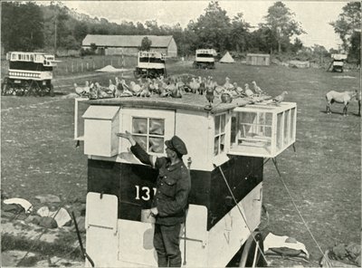 Palomas mensajeras del ejército británico en Francia: lofts tirados por caballos, 1919 de Unbekannt