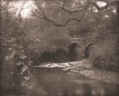 Arroyo y puente en el Nuevo Bosque, Hampshire, 1894 de Unbekannt