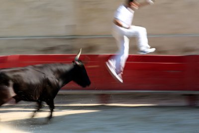 Corrida de toros (Course camarguaise). Un espectáculo incruento (para los toros) en el que el objetivo es arrancar una roseta de la cabeza de un toro, Vallabrègues, Francia de Unbekannt