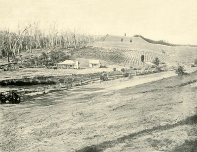 Casa del trabajador del monte, Gippsland, Victoria, 1901 de Unbekannt