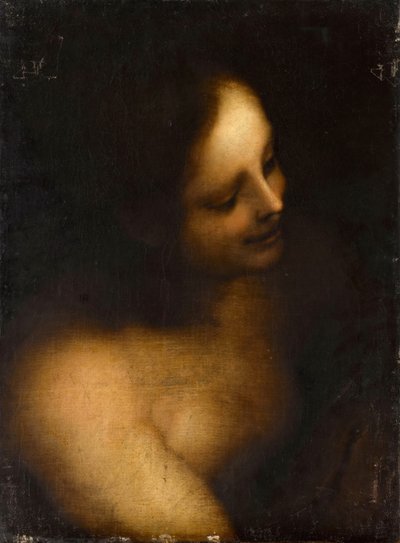 Desnudo femenino de busto de Unbekannt
