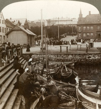 Comprando pescado en un puerto comercial ártico concurrido, Tromsoe 69° 38