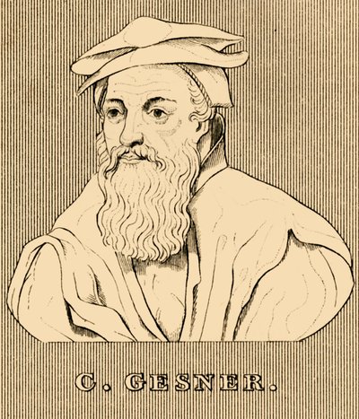 C. Gesner, 1516-1565, 1830 de Unbekannt