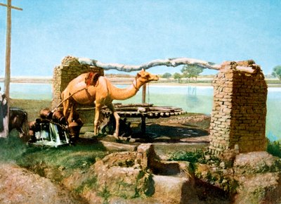 Camello y shaduf, Luxor, Egipto, siglo XX de Unbekannt