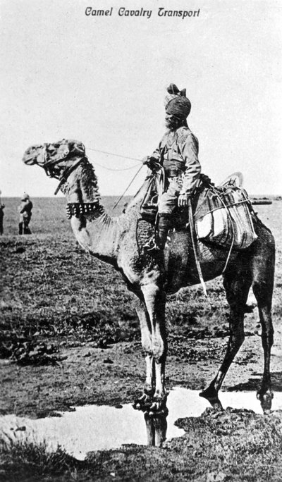 Transporte de caballería de camellos, India, siglo XX de Unbekannt