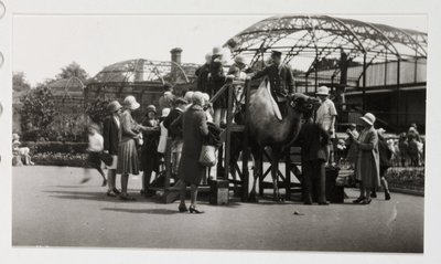 Paseo en camello, c 1930 de Unbekannt