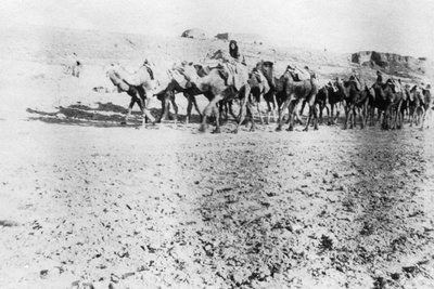 Caravana de camellos, Mosul, Mesopotamia, 1918 de Unbekannt