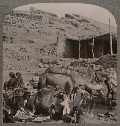 Caravana de camellos de Jerash, bebiendo en la Fuente de Elías, c. 1900 de Unbekannt