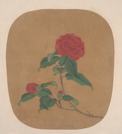 Flores de camelia de Unbekannt