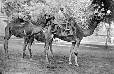 Campbellpore, Pakistán, siglo XX de Unbekannt
