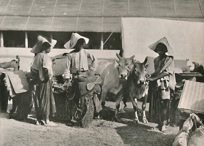 Escena de caravana con Shans en Bhamo, 1900 de Unbekannt
