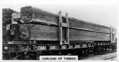 Cargamento de abeto Douglas, Canadá, c1920s de Unbekannt