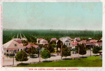 Calle Castro, Hayward, California, 1905 de Unbekannt