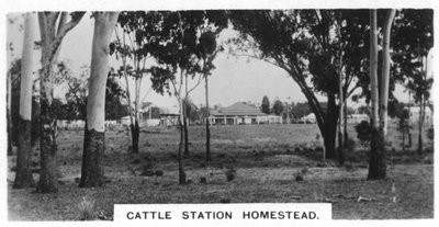 Estación ganadera, Australia, 1928 de Unbekannt