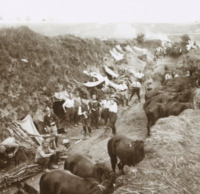 Caballería, c1914-c1918 de Unbekannt